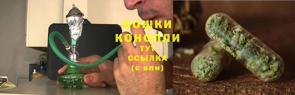 мет Инсар