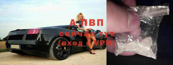 шишки Иннополис