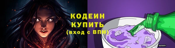 2c-b Инта