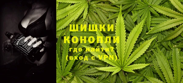 шишки Иннополис