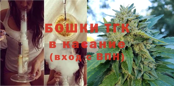 сатива Котовск