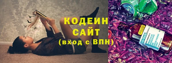 2c-b Инта