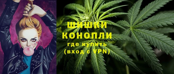шишки Иннополис