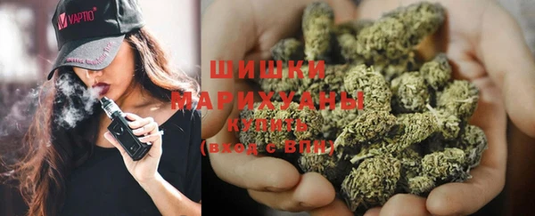 мет Инсар