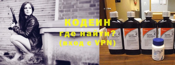 шишки Иннополис